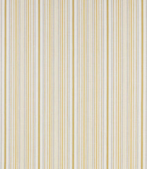 Somerville Fabric / Citrus