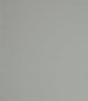 Burghley FR Vinyl Leather Fabric / Dove