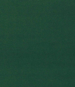 Dorton Fabric / Cactus