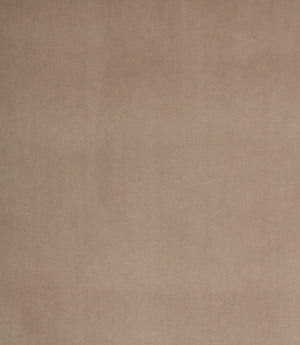 Cotswold Velvet FR Fabric / Fog