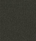 Jumbo Fabric / Forest - Just Fabrics