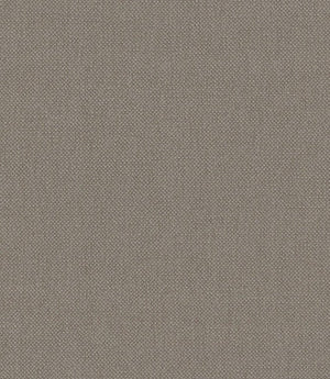 Oxford Fabric / Flax