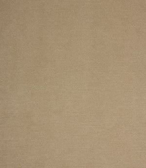 Cotswold Velvet FR Fabric / Taupe