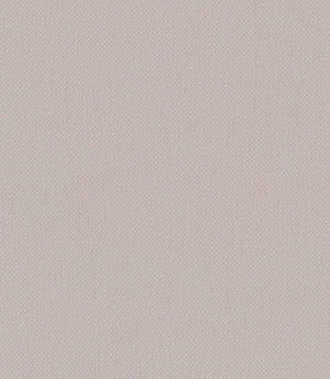 Oxford FR Fabric / Mist