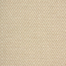 Plains / Semi Plains - Summit