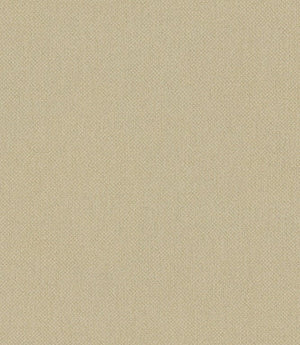 Oxford Fabric / Lemongrass