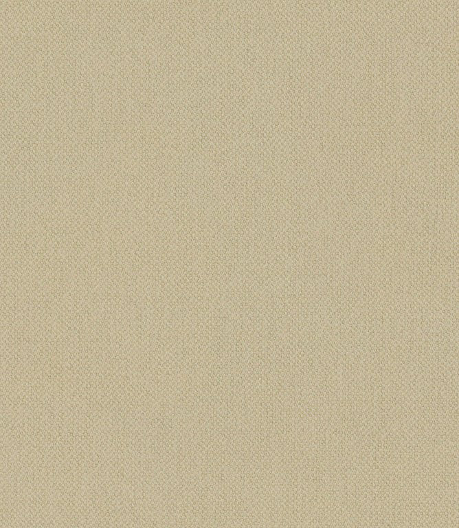 Oxford Fabric / Lemongrass - Just Fabrics