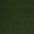 Cotswold Velvet FR Fabric / Conifer