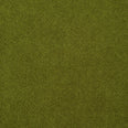 Adley FR Velvet Fabric / Pistachio