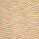 Plains / Semi Plains - Summit