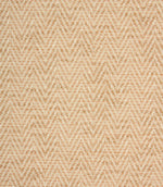 Plains / Semi Plains - Summit