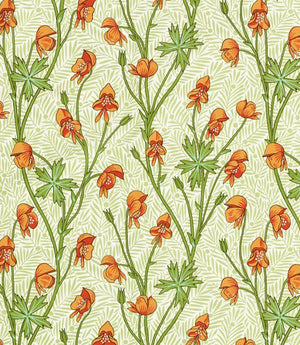 Monkshood Fabric / Tangerine / Sage