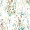 Jack Rabbit Fabric / Cream