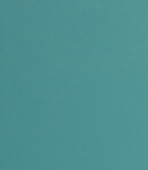 Burghley FR Vinyl Leather Fabric / Jade