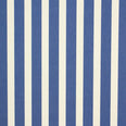 Coastal Outdoor Fabric / Azul Claro