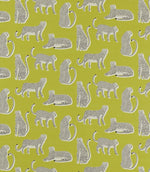 Lionel Fabric / Zest - Just Fabrics