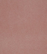 Adley FR Velvet Fabric / Blush - Just Fabrics