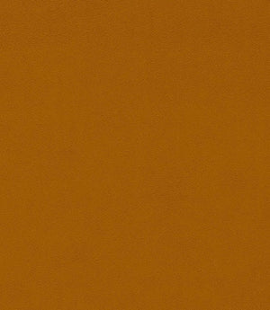 Dorton Fabric / Mango