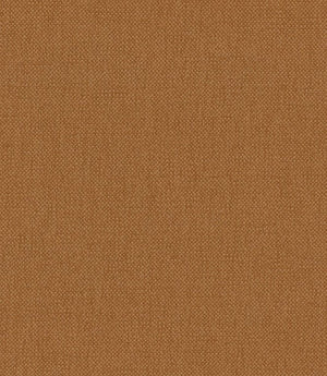 Oxford Fabric / Spice