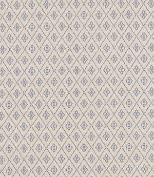 Caraway Fabric / Denim