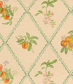 Peach Trellis Fabric / Melba - Just Fabrics