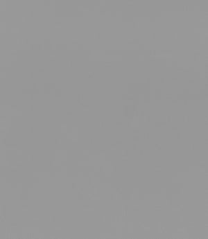 Rio FR Fabric / Dove