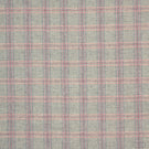 Checks / Stripes - Newton