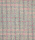 Checks / Stripes - Newton