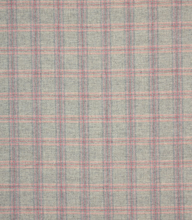 Checks / Stripes - Newton