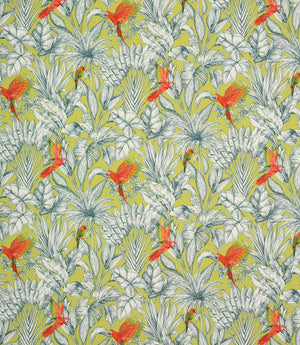 Macaw Outdoor Fabric / Anis