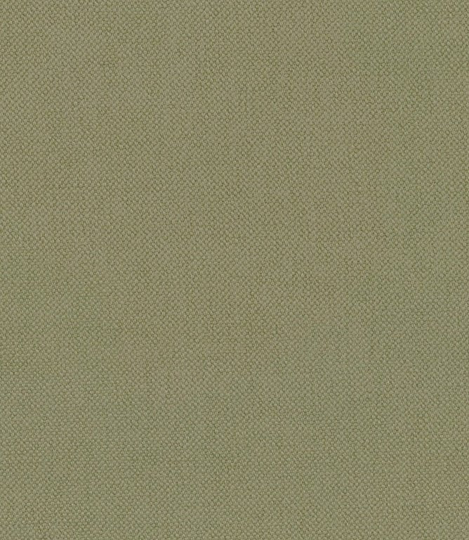 Oxford Fabric / Celery - Just Fabrics