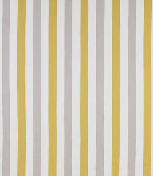 Lowell Fabric / Citrus