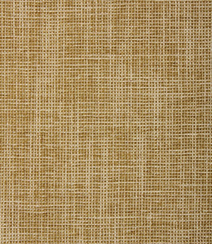 Quito Fabric / Earth