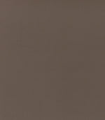 Rio FR Fabric / Clay - Just Fabrics