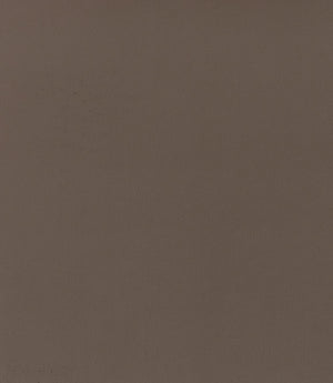 Rio FR Fabric / Clay