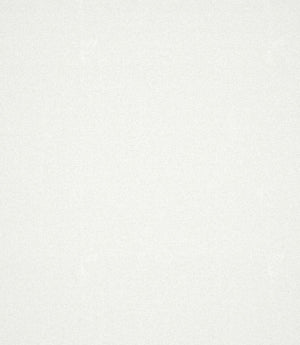 Laundered Linen Fabric / Chalk