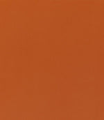 Rio FR Fabric / Burnt Orange - Just Fabrics