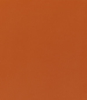 Rio FR Fabric / Burnt Orange