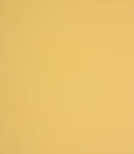 Coloured Linings Fabric / Honey - Just Fabrics