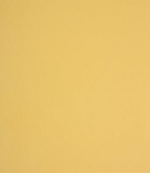 Coloured Linings Fabric / Honey