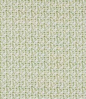 Rosehip Fabric / Thyme