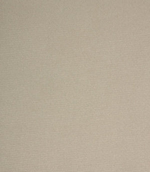 Cotswold Velvet FR Fabric / Silver