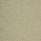 Plains / Semi Plains - Summit