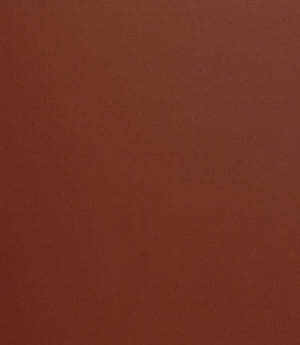 Burghley FR Vinyl Leather Fabric / Fire