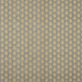 Indo Fabric / Quince
