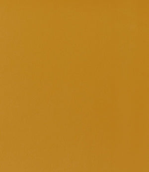 Rio FR Fabric / Ochre