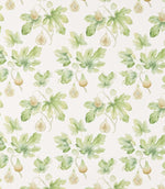 Fig Harvest Fabric / Garden Green - Just Fabrics