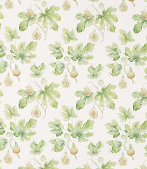 Fig Harvest Fabric / Garden Green