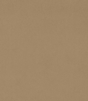 Dorton Fabric / Pumice