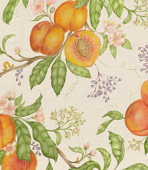 Peach Harvest Fabric / Cream